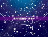 虎妈和鼠爸哪个属相好，鼠爸爸和牛妈妈生什么属相小孩比较好呢？