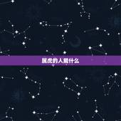 属虎的人戴什么，属虎的可以戴貔貅吗