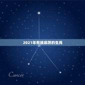 2021年有披麻煞的生肖，2021年不顺的生肖