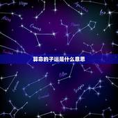 算命的子运是什么意思，算命说双子运是什么意思
