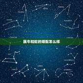 属牛和蛇的婚配怎么样，属牛和属蛇的人合不合