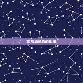 龙与虎婚后的生活，龙与虎小说结局结婚了么