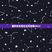 查月份生男生女清宫图2022，清宫表2022 生男生女图