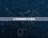 95年属猪婚配几岁最佳，95年属猪男的和什么属相最配