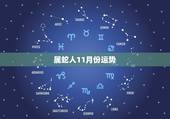 属蛇人11月份运势，生肖蛇阳历11月30号运势如何
