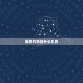 属狗的忌讳什么生肖，属狗女讨厌哪些生肖