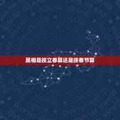 属相是按立春算还是按春节算，属相是按照每年的农历初一算的呢？还是按照打