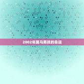 2002年属马男孩的命运，2002年属马学业怎么样