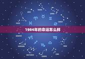 1984年的命运怎么样，1984年11月20出生的人是什么命运如何