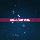 属龙大林木命五行缺什么，求大师看看五行。本命属龙，大林木命。五行土旺缺