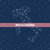 属牛2022年运势及，属牛2021年运势及运程