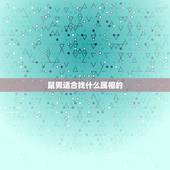 鼠男适合找什么属相的，属鼠男更佳配偶属相