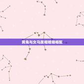 男兔与女马属相婚姻相配，属兔的女和属马的男婚姻