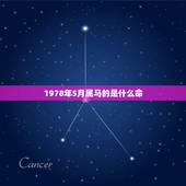 1978年5月属马的是什么命，1978年属马的到底是火命还是土命