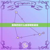 属猴的和什么属相婚配最佳，属猴的和什么属相最合适