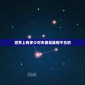 世界上有多少对夫妻是属相不合的，两人属相不合就不可以在一起结婚的吗？我