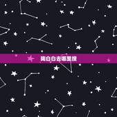 陶白白去哪里搜，陶白白什么梗