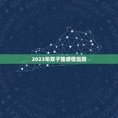 2023年双子座感情运势(浪漫与挑战并存)