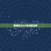 属猪的2022年运程运势，83年属猪2019年运势及运程