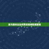 属马酉时出生的男孩婚姻配偶属相，我是属马，配偶适合什么属相