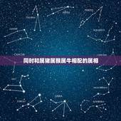 同时和属猪属猴属牛相配的属相，属猪的和哪些属相相配