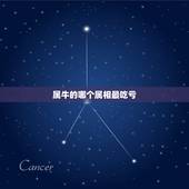 属牛的哪个属相最吃亏，属羊男和什么属相最配