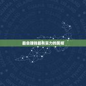 最会赚钱最有实力的属相，十二生肖中哪个生肖最会赚大钱的