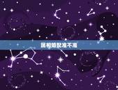 属相婚配准不准，生肖配对准吗？有人相信吗？