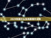 2029年属什么生肖属相什么命，2029年属什么