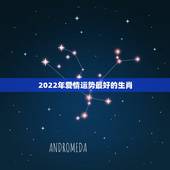 2022年爱情运势最好的生肖，2022年属猪人的全年运势