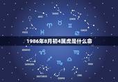 1986年8月初4属虎是什么命，86年虎哪年才开始发财