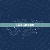 35天hcg辨别男女，hcg翻倍快慢辨别男女准吗？