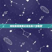 婚配属相重要还是生辰八字重要，属相重要还是生辰八字重要