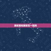 属蛇能和属蛇在一起吗，属蛇的两个人在一起好吗