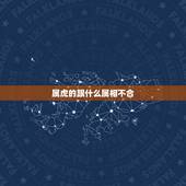 属虎的跟什么属相不合，事业上属虎的与什么属相不合