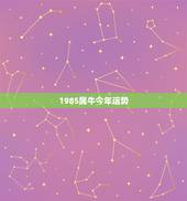 1985属牛今年运势，1985年属牛的今年运气好不好