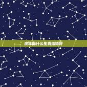 虎年配什么生肖结婚好，虎年下一年是什么生肖