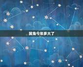 属兔今年多大了，属兔今年多大年龄2022