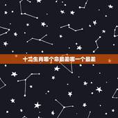 十二生肖哪个命最差哪一个最差，什么生肖命最苦