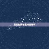 属蛇和属老鼠婚配好吗，属蛇和属鼠婚配怎么样
