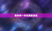 我的另一半在哪里测试，测一下我的另一半会在那所城市出现？