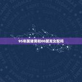 95年属猪男和00属龙女配吗，95猪男00龙女婚配怎么样