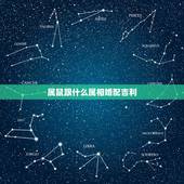 属鼠跟什么属相婚配吉利，属鼠的属相婚配表