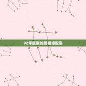 92年属猴的属相婚配表，92年的猴过了28岁就好了