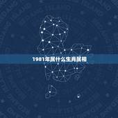 1981年属什么生肖属相，1981年属什么生肖，1981年出生是什么命