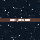 属狗和什么属相属兔最配，属相狗和什么属相最配