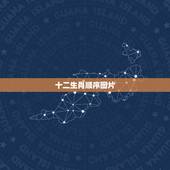 十二生肖顺序图片，生肖图案十二生肖顺序
