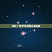 属蛇人2023年全年运势运程，蛇人2023年运势完整版