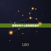 搜索蛇和什么属相婚配最好，生肖蛇跟什么最配，属蛇的属相婚配表
