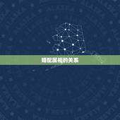 婚配属相的关系，婚配和属相真的有关系吗
